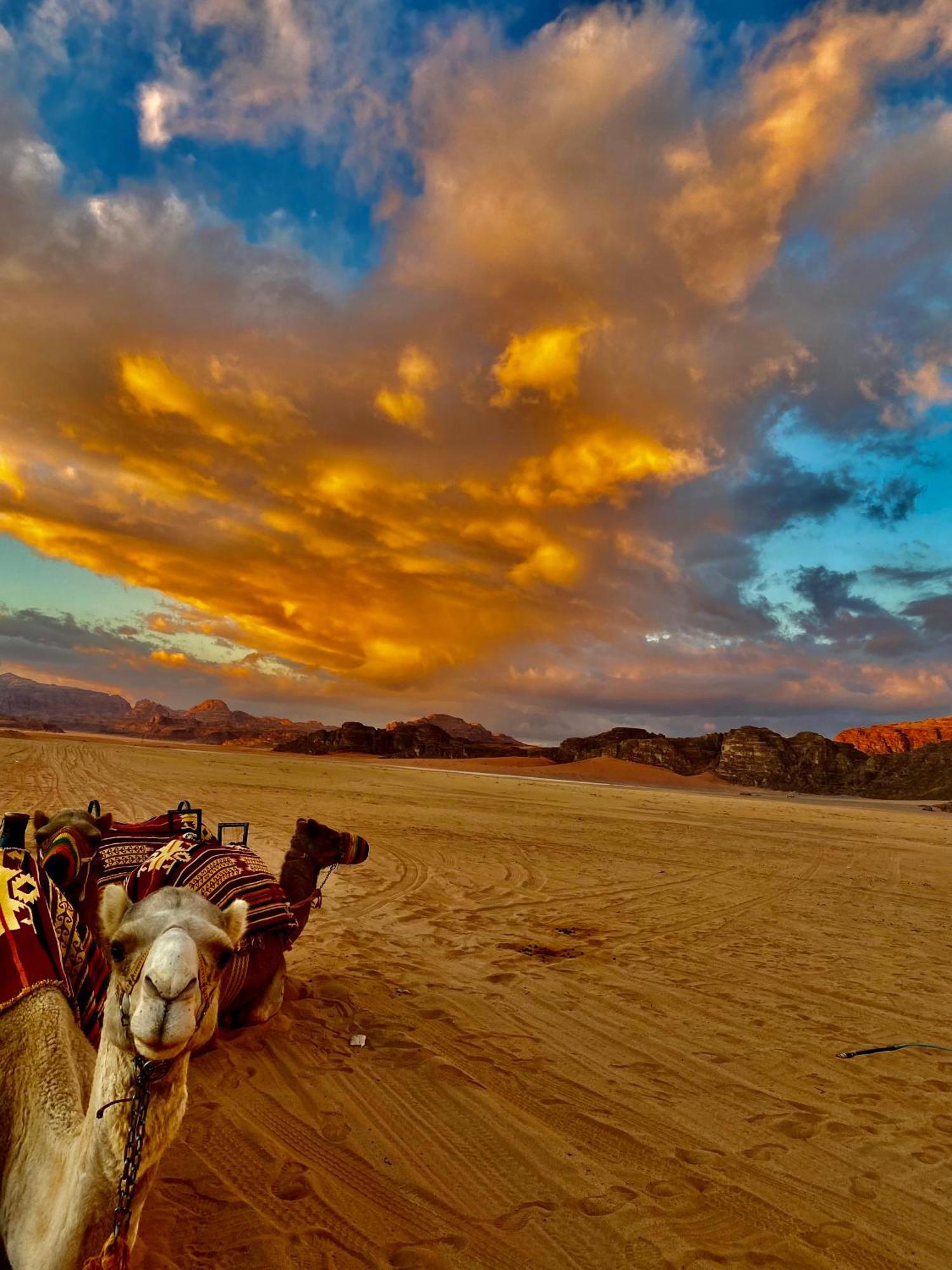 Rum Four Mountain Luxury Camp Wadi Rum Exterior photo